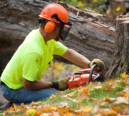 tree services South Charleston